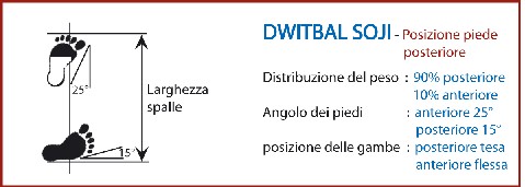 DWTIBAL-SOJI